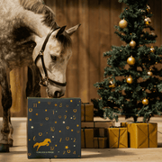 Countdown to Christmas: 2025 Advent Calendar for Horse Lovers! 🐴✨