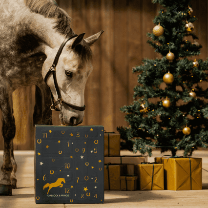 Countdown to Christmas: 2025 Advent Calendar for Horse Lovers! 🐴✨