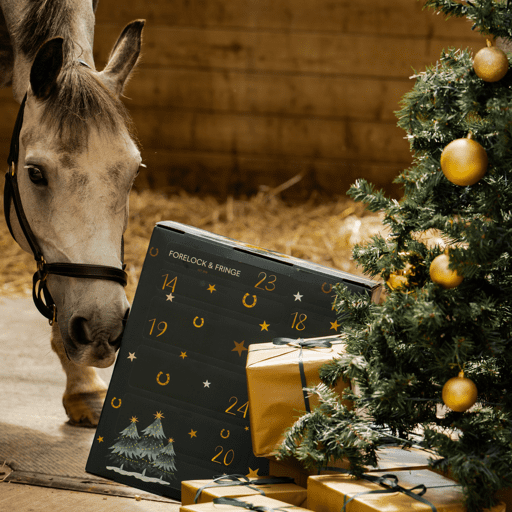 Countdown to Christmas: 2025 Advent Calendar for Horse Lovers! 🐴✨